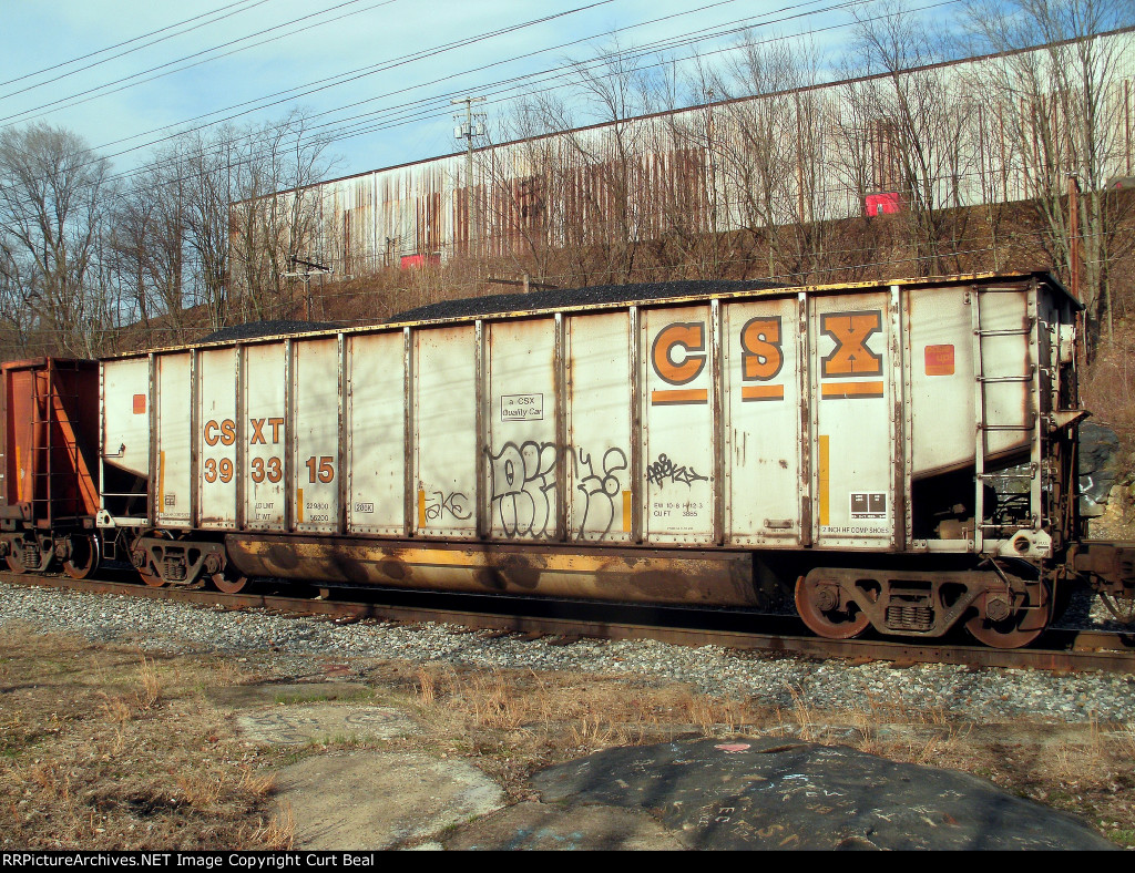 CSX 393315